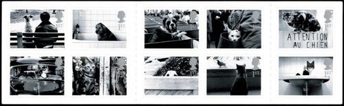 2001 Cats & Dogs