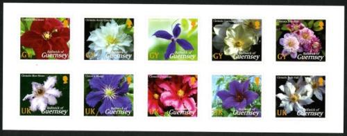 2004 Raymond Evison's Guernsey Clematis