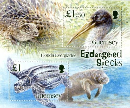 2006 Endangered Species (3rd series), Florida Everglades MS