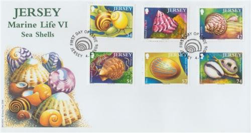 2006 Sea Shells