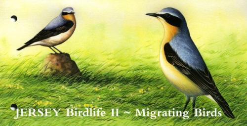 2008 Birds pack