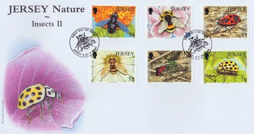 2008 Insects