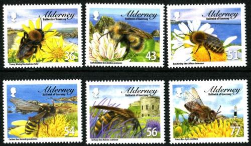2009 Bees