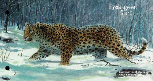 2009 Endangered Species (5th series), Amur Leopard MS Pack