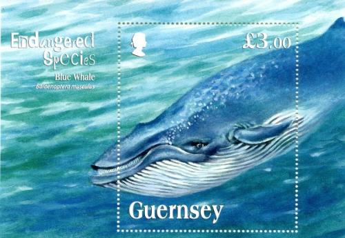 2011 Endangered Species (7th series), Blue Whale MS