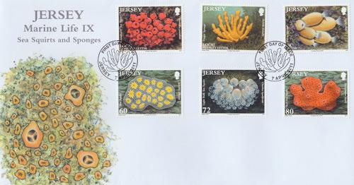 2011 Marine Life Sea Squirts & Sponges