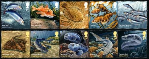 2014 Sustainable Fish
