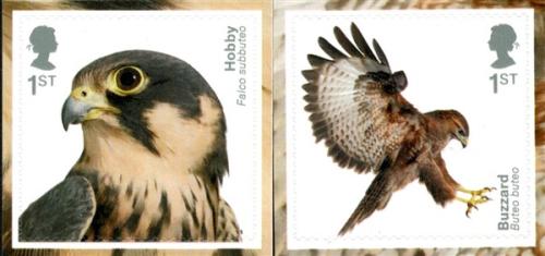 2019 Birds of Prey Self-adhesive (SG4210-4211)