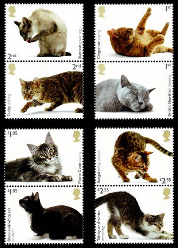 2022 Cats