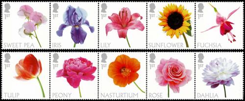 2023 Flowers