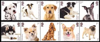 2024 Dogs