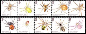 2024 Spiders